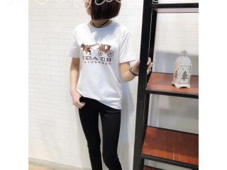 18SS限定半袖Tシャツcoach  【レディース・メンズ用】  ロゴ Tシャツ レディース用 半袖Tシャツ